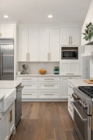 Kitchen renovation designing Services